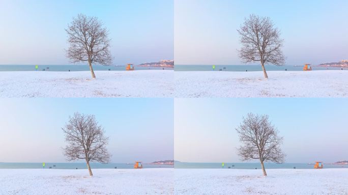 雪后青岛海边航拍
