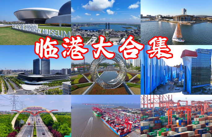 上海临港新片区大合集