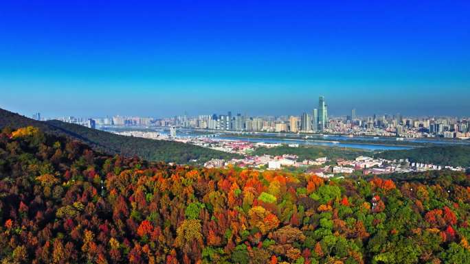 长沙秋景地标合集