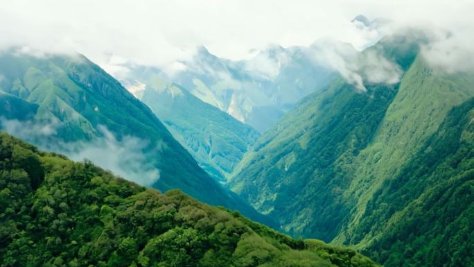 绿色山川山脉风景（竖屏）