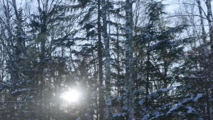 冬天雪景 当天车窗外雪景 雪景转场素材