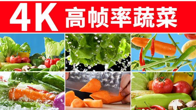 有机蔬菜 食材