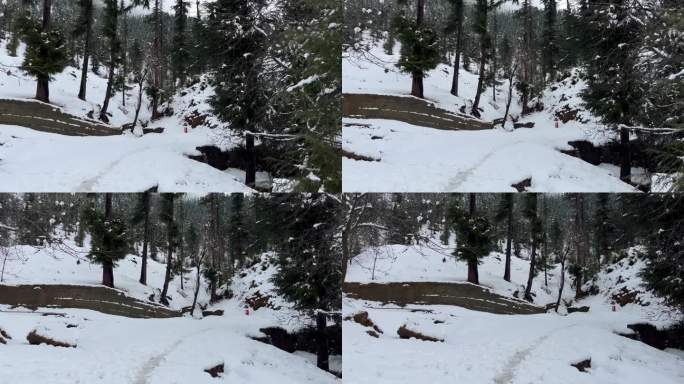 喜马拉雅地区的雪地冒险 - 滑雪、单板滑雪和壮丽的景色