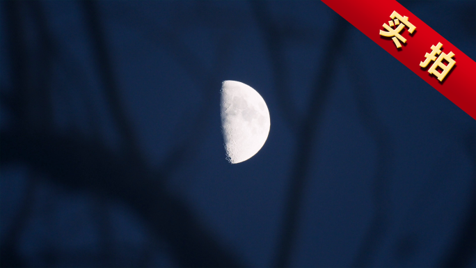 农村夜晚月亮乡村宁静树林夜空中秋十五圆月