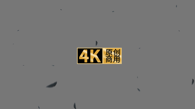 4K树叶飘落含通道