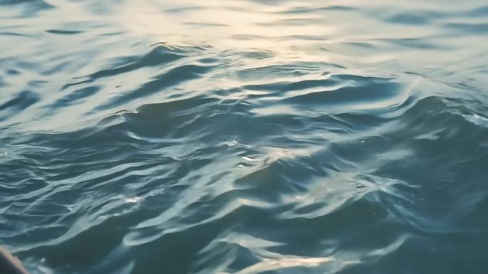 水面划桨特写