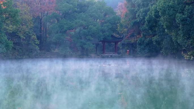 航拍新昌大佛寺4K延时