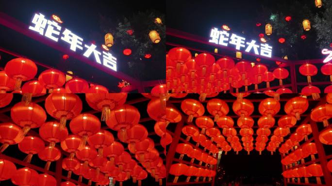 【18元】2025蛇年大吉灯笼灯会彩灯红