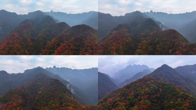 秋日秦岭山脉大雾