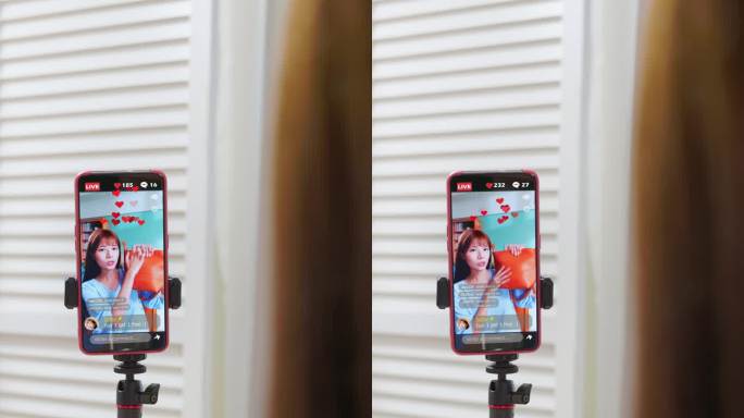 女人直播销售包包