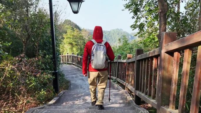 背包客走在乡村公园的山路上