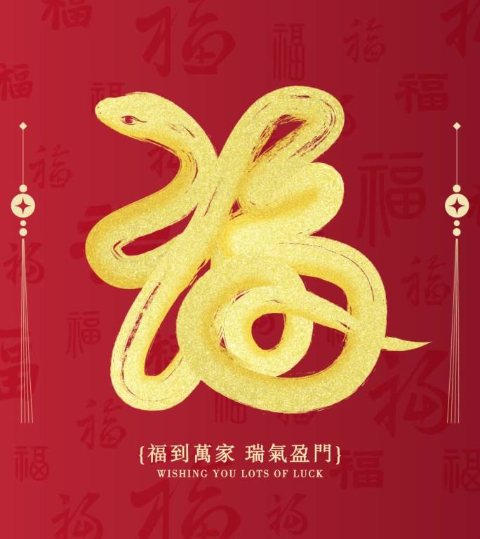 2025蛇年简洁高级福字片头-竖版
