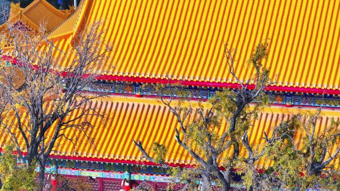 青岛观音寺