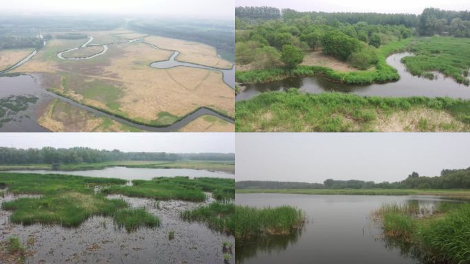 汉石桥湿地公园航拍