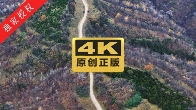 子午岭秦直道秋天黄土高原山林日出晨雾