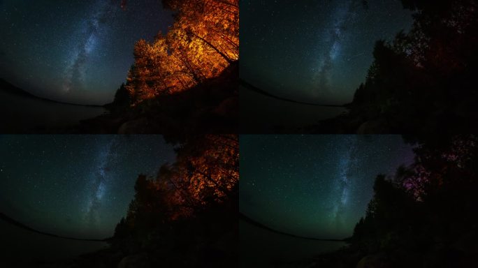 星空延时摄影，灌木丛中的篝火，森林后方的北极光或极光。