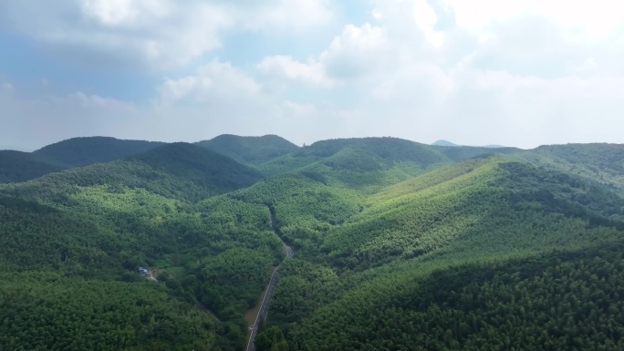 南京溧水无想山林荫道上行驶的汽车鸟瞰航拍