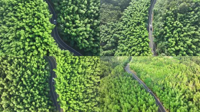 南京溧水无想山林荫道上行驶的汽车鸟瞰航拍