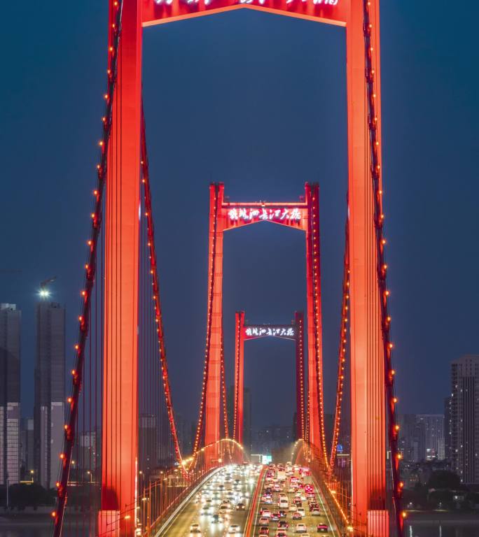 鹦鹉洲长江大桥车流夜景竖屏4K延时