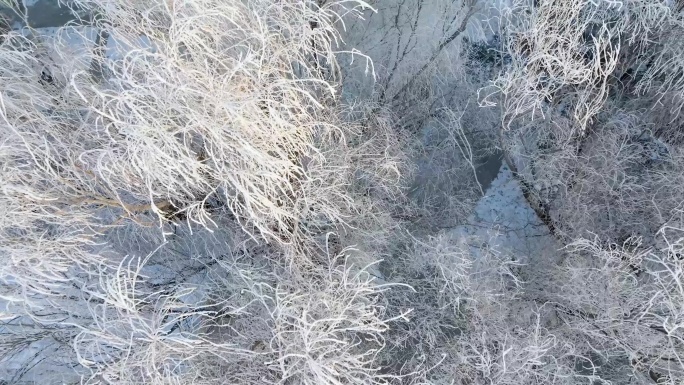 吉林雾凇城市风光冬季雪乡松花江树挂奇观