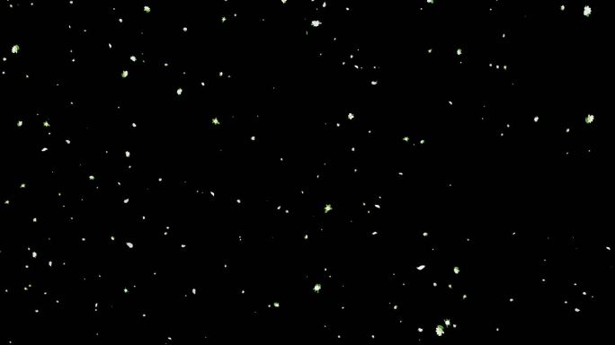 花瓣飘飞茉莉花飘落带通道