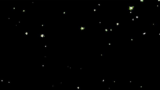 花瓣飘飞茉莉花飘落带通道