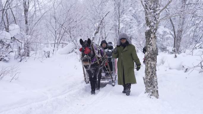 雪中马拉爬犁