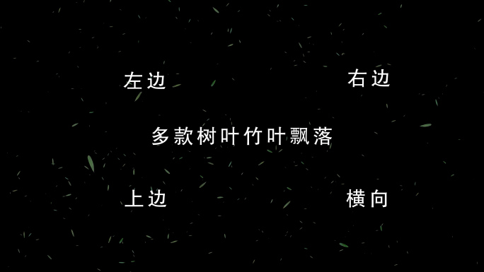 多款竹叶飘落树叶飘落AE模板