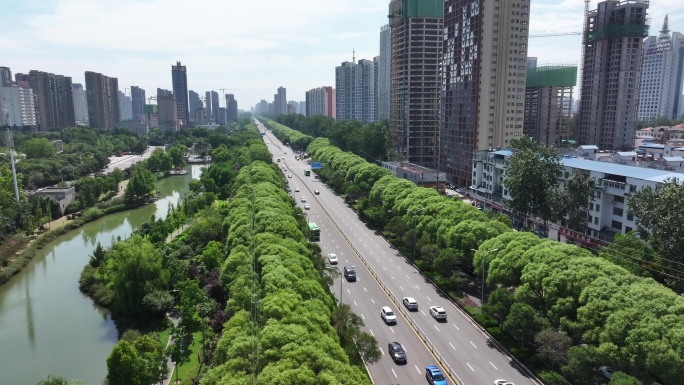 漯河树下绿荫森林城市