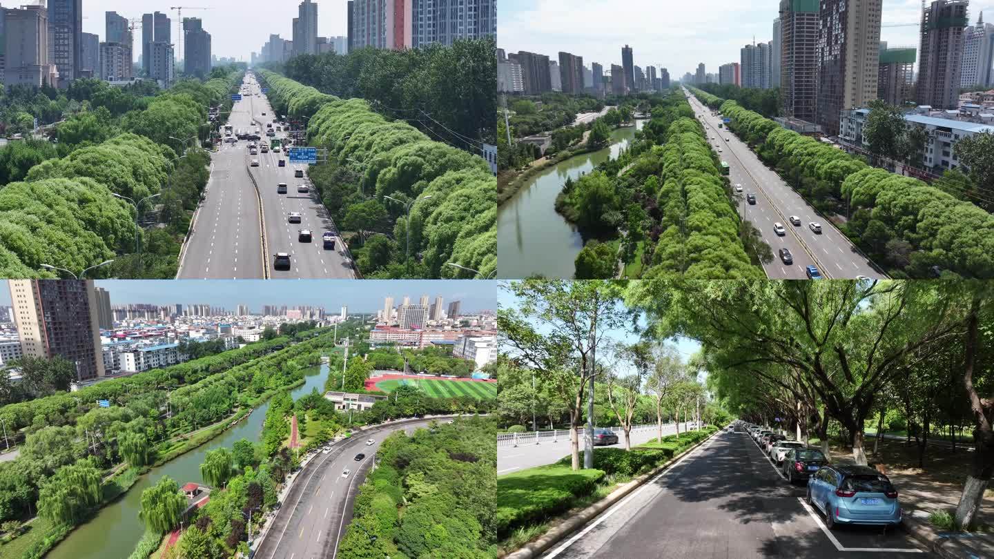 漯河树下绿荫森林城市