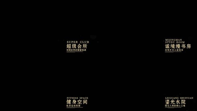 高级质感粒子字幕