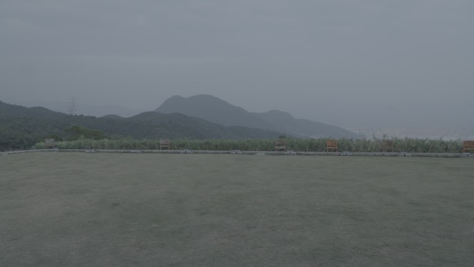平整的草坪