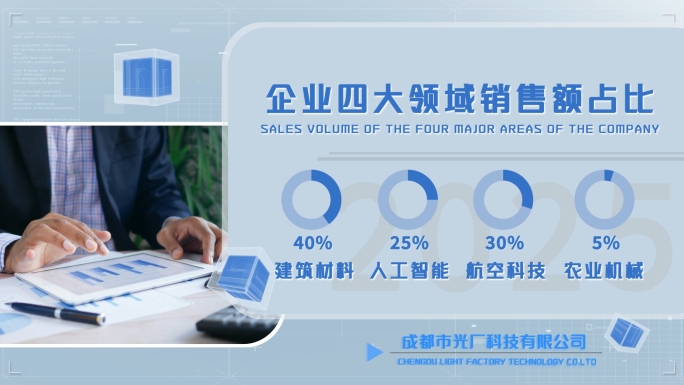 企业年报数据流图文展示