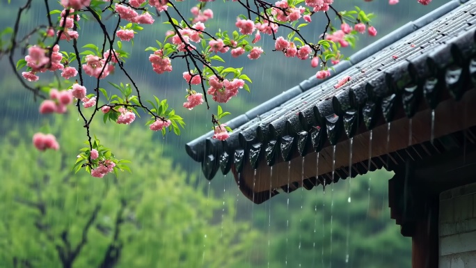 【4k】雨水节气谷雨惊蛰清明二十四节气