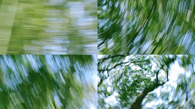 树林转场快剪快切场景切换绿色动态模糊背景