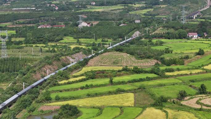 田野 火车 稻田 火车穿过乡村 田园