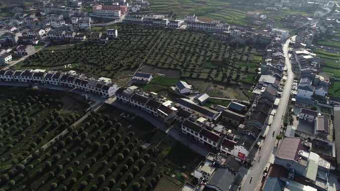 平利县大贵镇新面貌