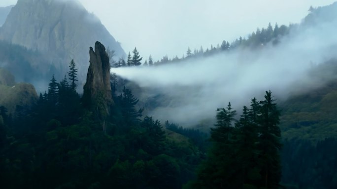 森林群山峻岭山林迷雾瘴气雾气