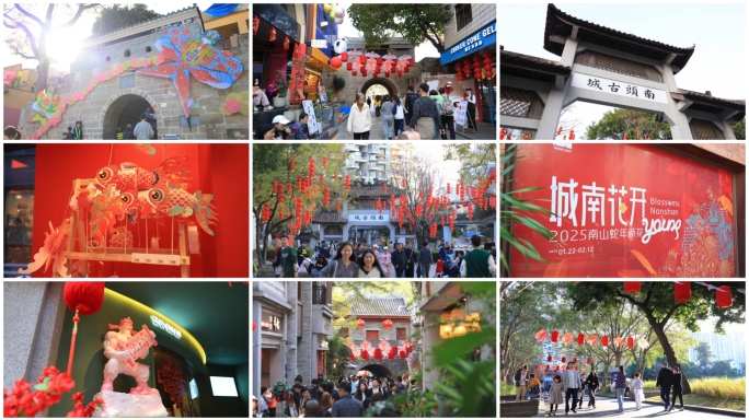 2025深圳南头古城迎春花市城南花开合集