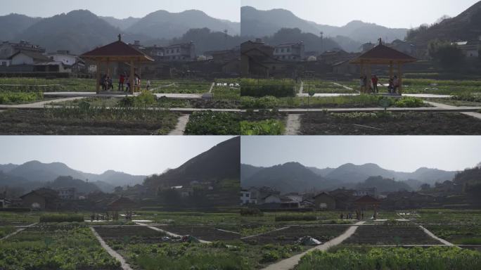 妈妈带着幼儿在田间嬉戏