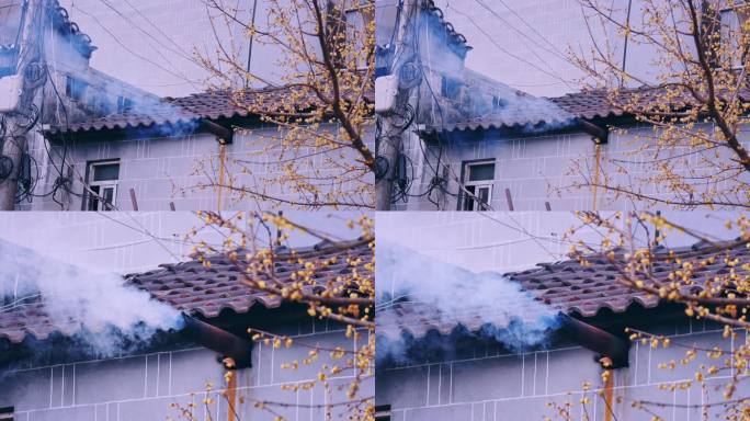 4K农村炊烟 农舍烟囱 农舍梅花 腊梅花