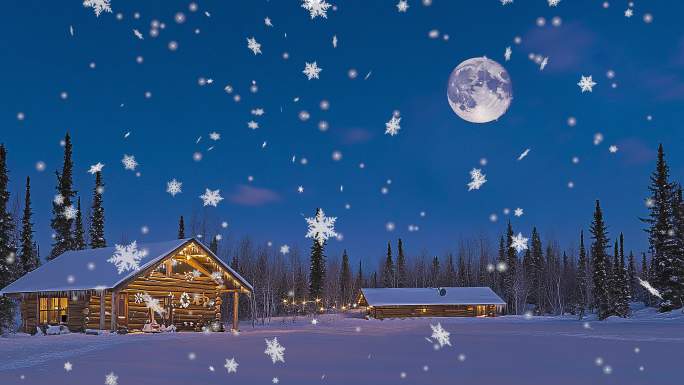 雪乡冬日夜色森林美景