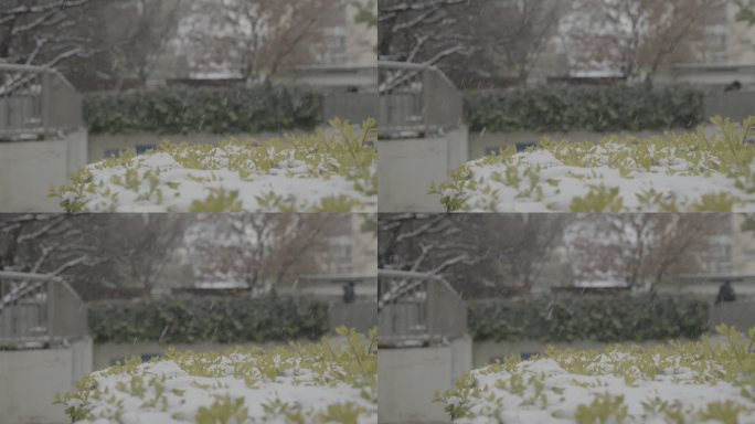 Slog3 雪天 空镜 慢动作