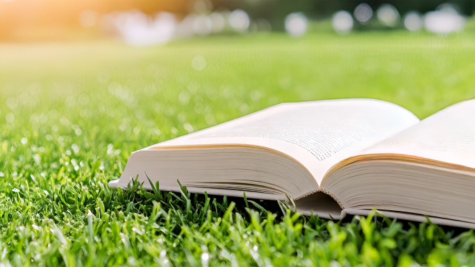 书本翻书读书4K60帧