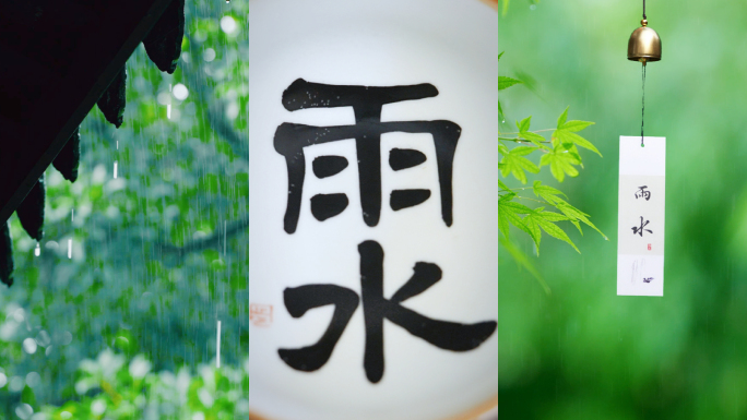 雨水 节气 竖版