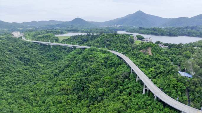 盘山公路驾驶车辆上山
