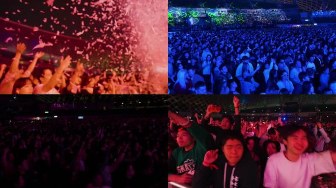 观众 音乐节 电音节 演唱会 大场面