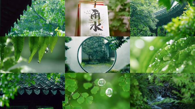 雨水 节气 下雨 春雨 小雨 屋檐 雨滴
