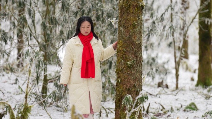 女生走在雪后的鹿儿坪森林中慢镜头合集