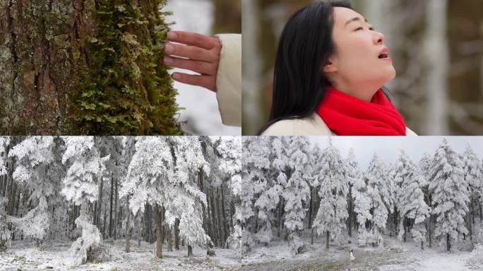 女生走在雪后的鹿儿坪森林中慢镜头合集
